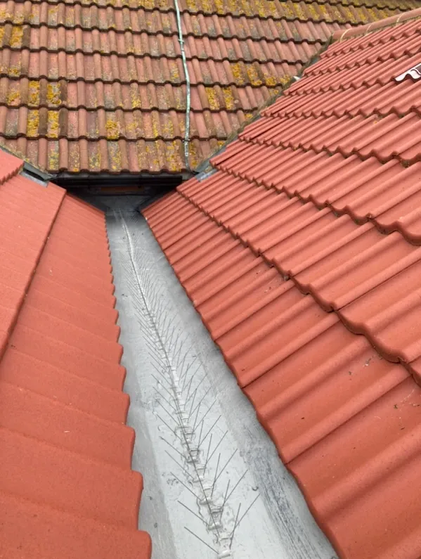 Roof Repairs: Repaired roof valley with new red tiles after roof repair in Kent
